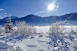 雪,冬天,冷