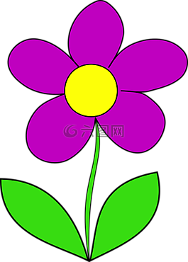 花,紫色,葉子