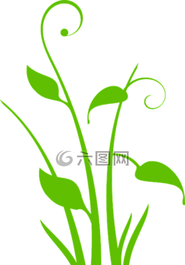 草,葉子,美麗