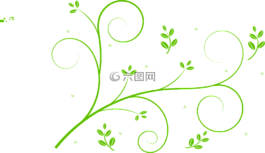 花藝設(shè)計,葉子,漩渦