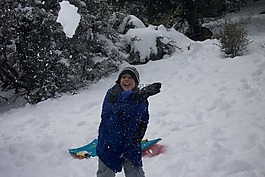 好玩,雪,雪球