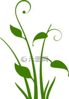 綠色,植物,花藝設計
