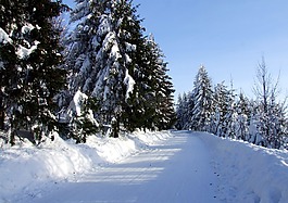 冬天,道路,雪