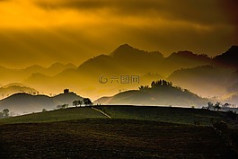 自然,山,樹(shù)