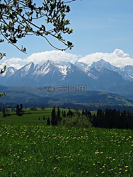 山,冬奧會,高塔特拉山區(qū)
