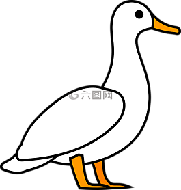 鴨,鵝,動物