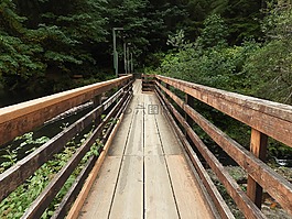 橋,路徑,木