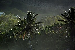 馬提尼克島,加勒比海,熱帶地區(qū)