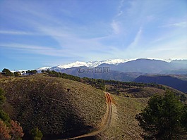 愛達(dá)荷州,山,森林