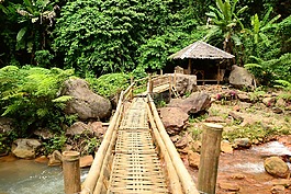 橋,竹,路口