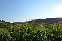 西班牙,性質(zhì),夏季
