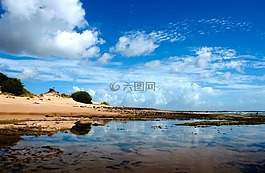 海滩,海岸,水