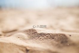 海滩,沙,夏天
