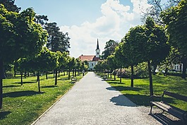 地方,公園,自然