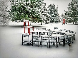 雪,冷,壁紙