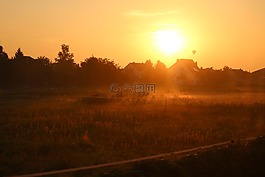 景觀,旅行,字段