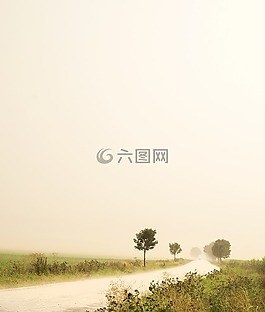 雨,景觀,路徑