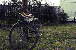 自行車,bicicleta,花