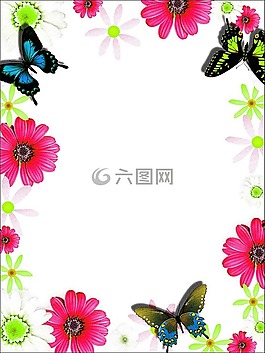 多彩,幀,賀卡