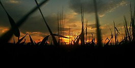 日落,太陽能,性質(zhì)