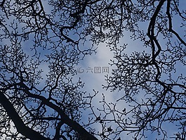 審美,剪影,分支機構(gòu)