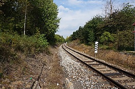 軌道,鐵路,鐵軌