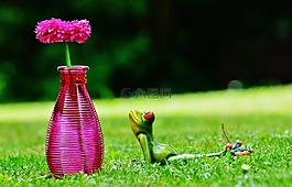 花瓶,花,青蛙