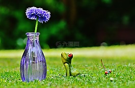 花瓶,花,青蛙
