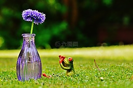 花瓶,花,青蛙
