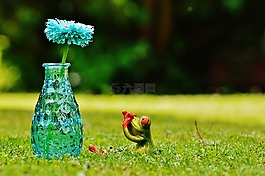 花瓶,花,青蛙