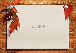 板,空間,葉子