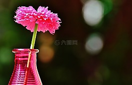 花瓶,玻璃,豐富多彩