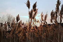 日落,性質(zhì),天空