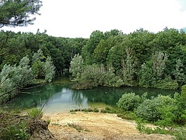 荷蘭,景觀,景區(qū)