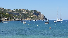 夏季,太陽,海