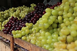 葡萄,水果,農(nóng)業(yè)