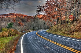 路,景觀,景區(qū)