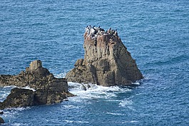 澤西島,英格蘭,海峽群島