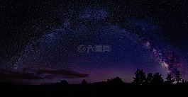 自然,樹,側(cè)影