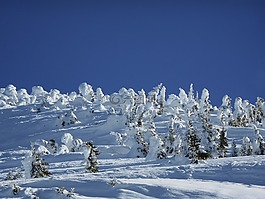 雪,高峰,山