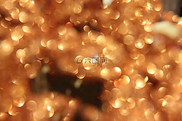 散景,閃光的,黃金
