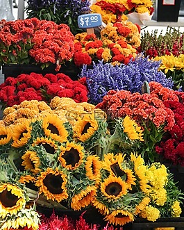 鮮花,街頭市場,花束