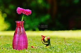 花瓶,花,青蛙