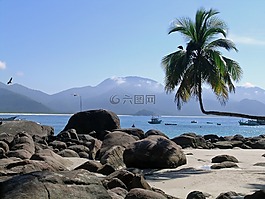 熱帶地區(qū),熱帶,異國情調(diào)