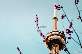 建筑物,結(jié)構(gòu),自然
