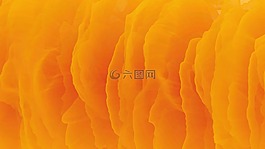 抽象,橙色,背景