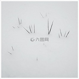 冬天,白,冰柱