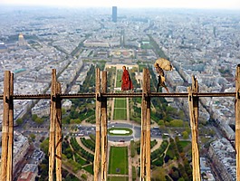 男子,橋,木