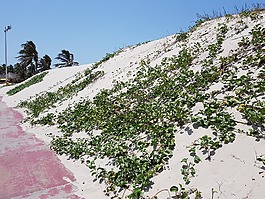 景觀,性質(zhì),之旅