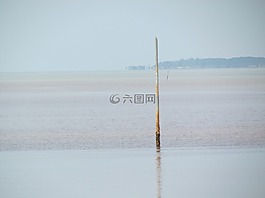 海灘,海,夏天
